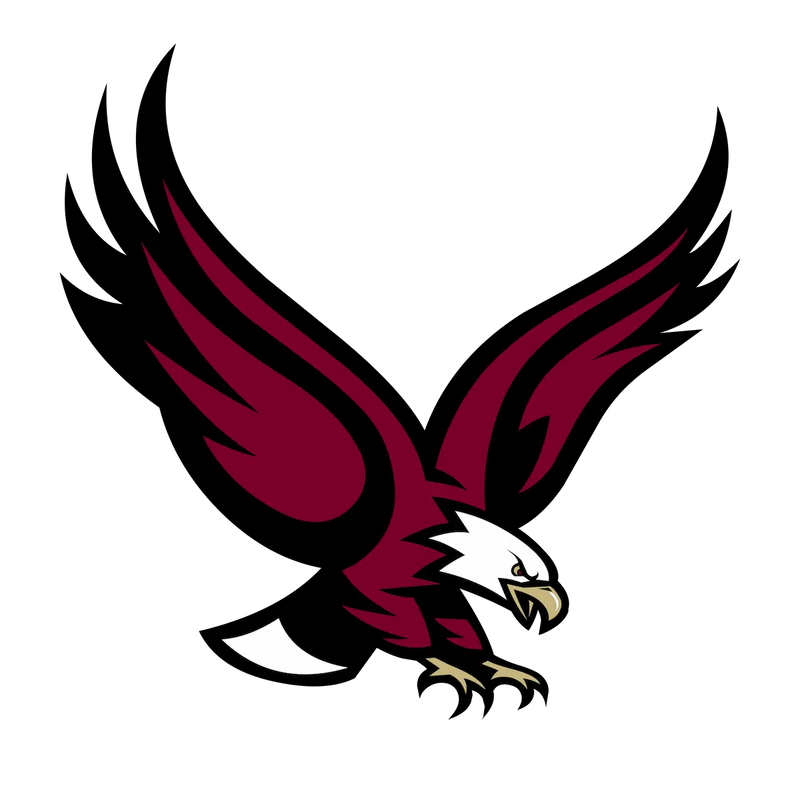 Boston College Eagles