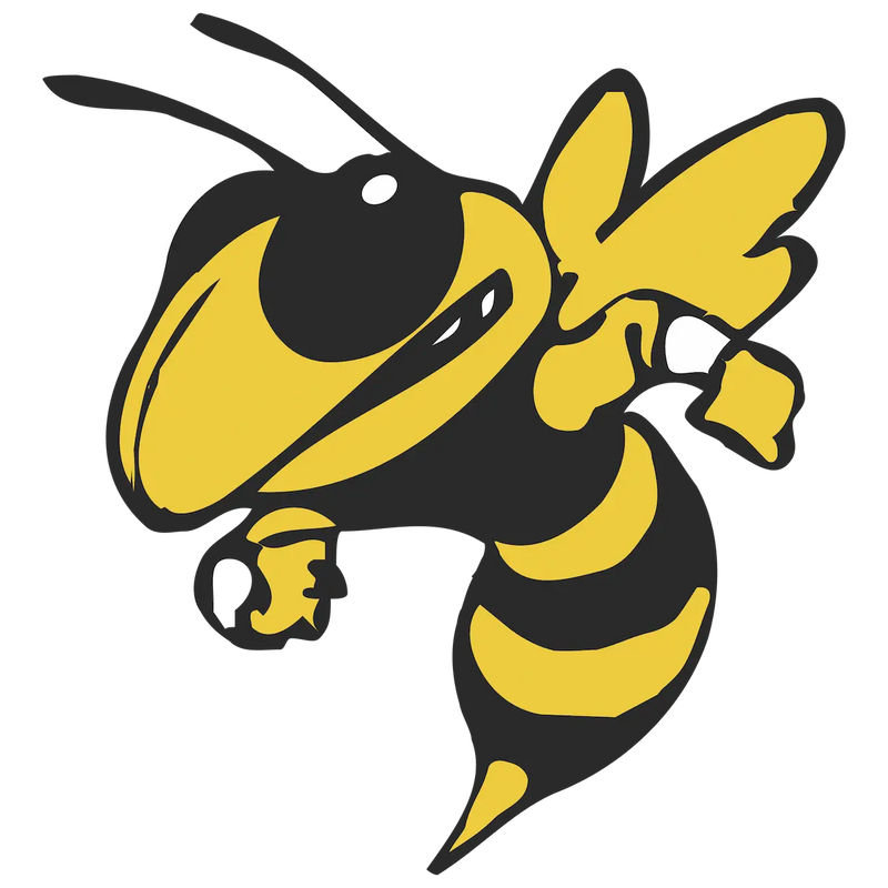 Georgia Tech Yellow Jackets