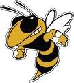 Georgia Tech Yellow Jackets