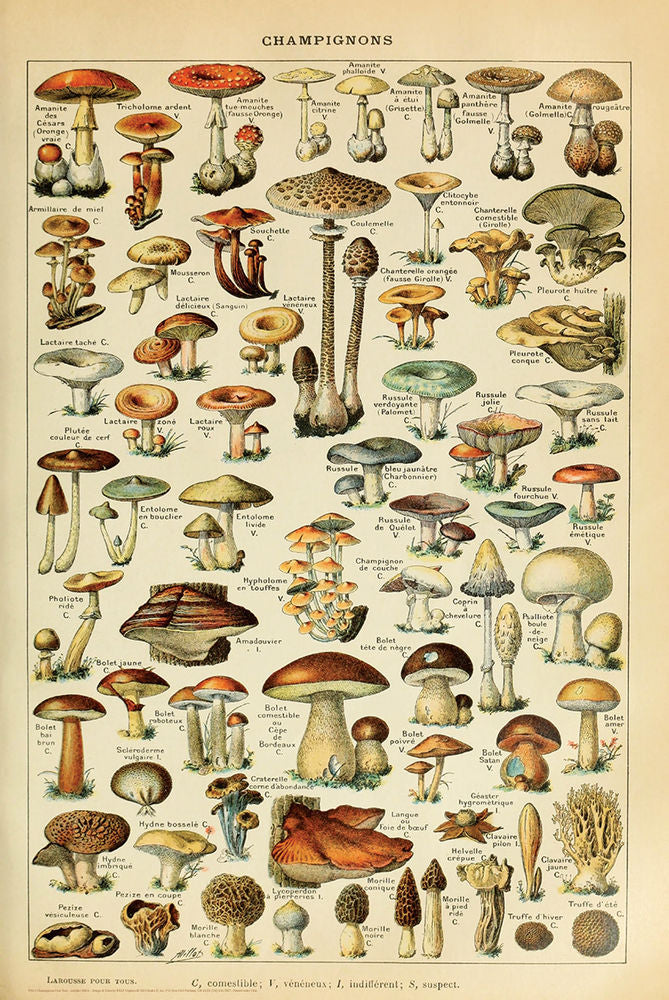 Meishe Art Vintage Poster
