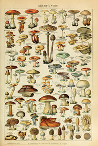 Meishe Art Vintage Poster