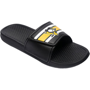 Pittsburgh Penguins Slides