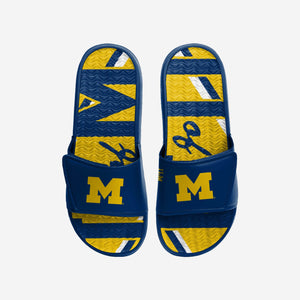 Michigan Wolverines Slides