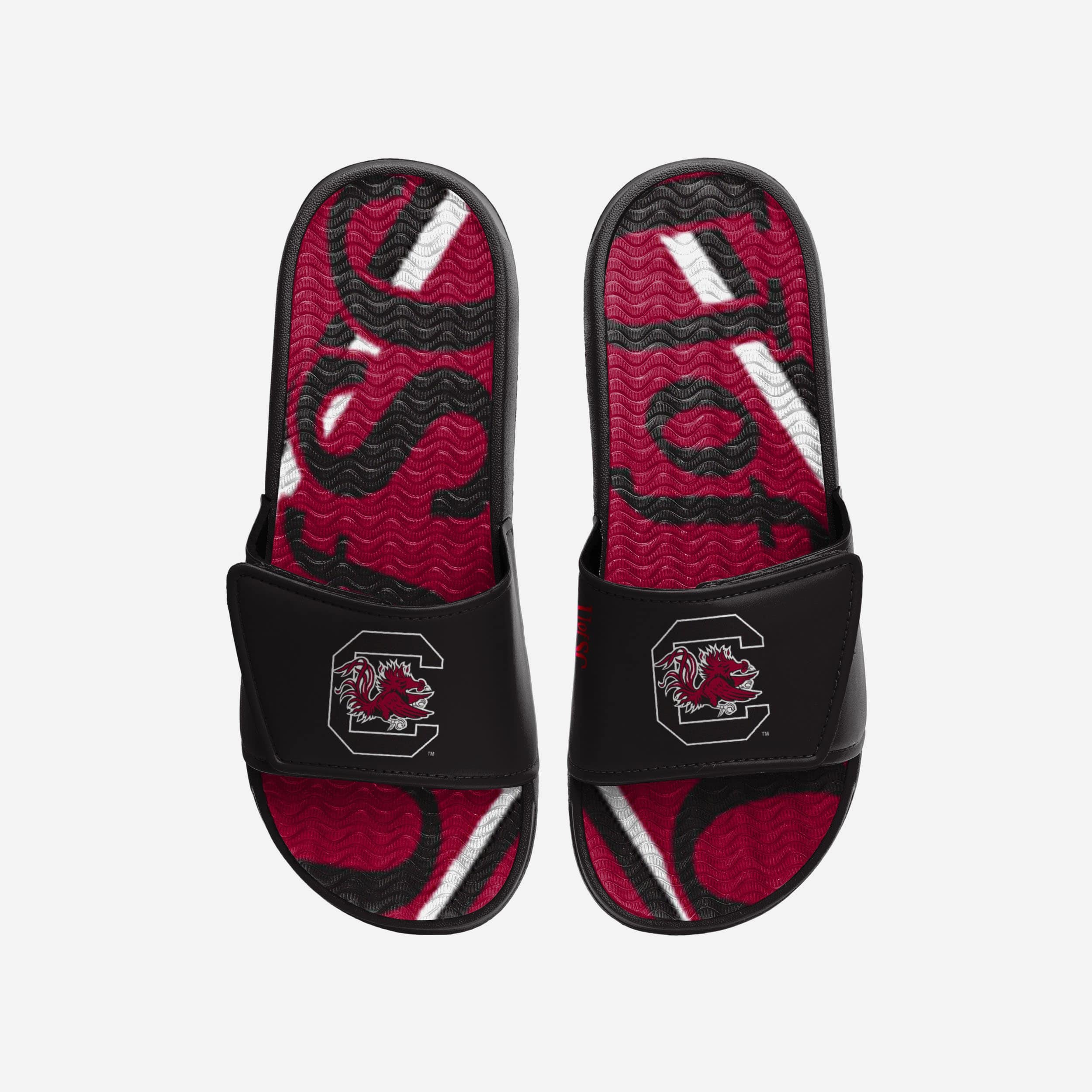 South Carolina Gamecocks Slides
