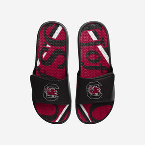 South Carolina Gamecocks Slides