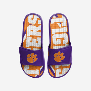 Clemson Tigers Slides