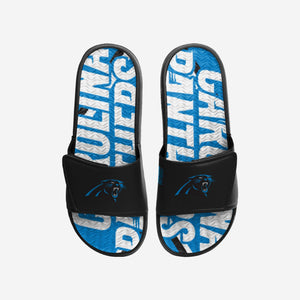 Carolina Panthers Slides