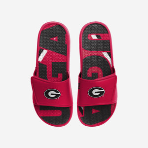 Georgia Bulldogs Slides