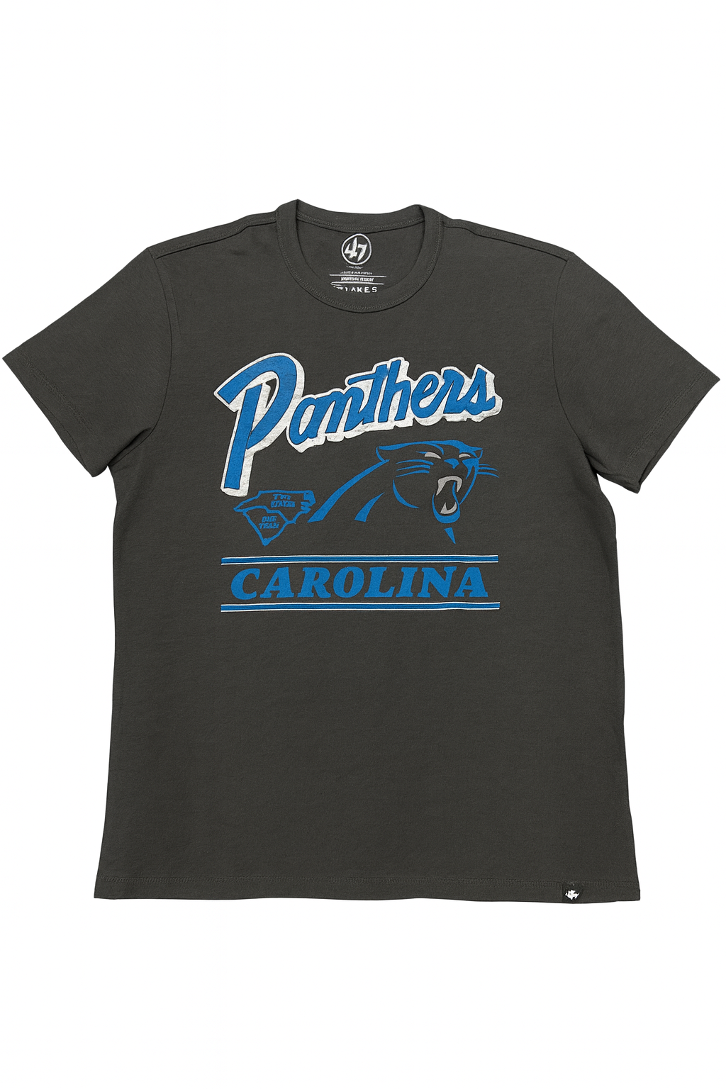 Carolina Panthers Fly By Franklin T-Shirt
