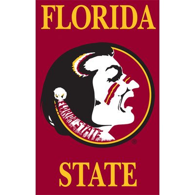 Florida State Seminoles Embroidered Banner House Flag