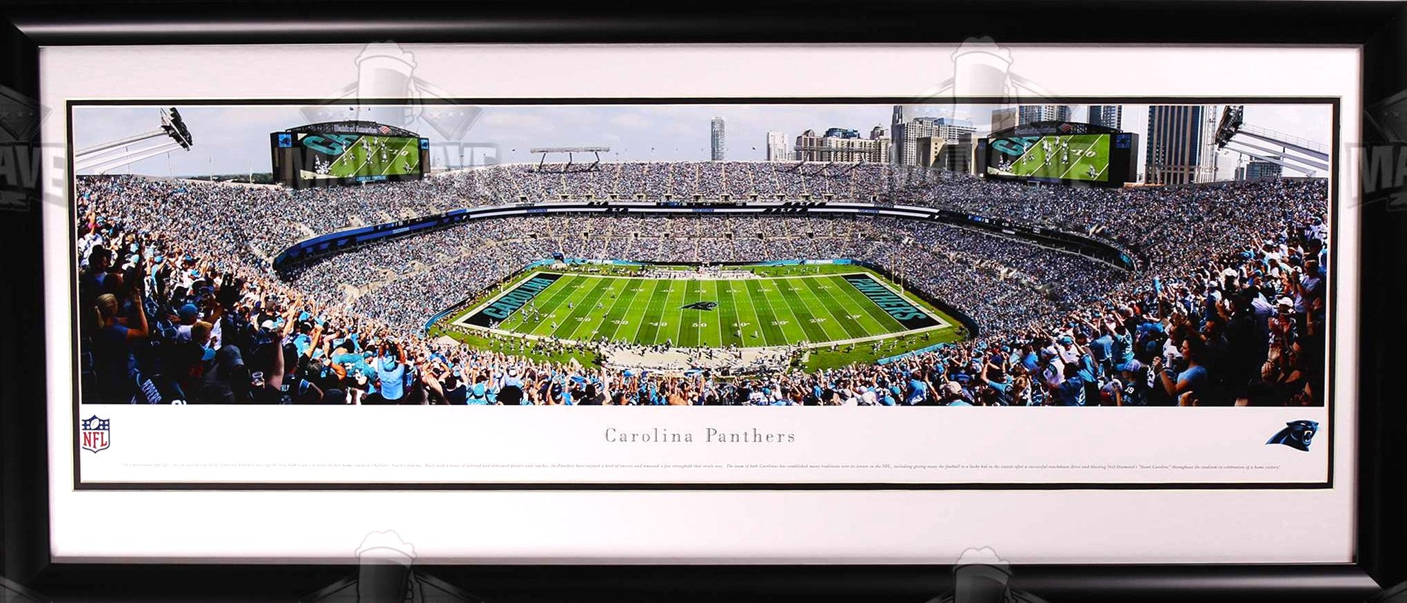 STADIUM PANORAMIC FRAMES