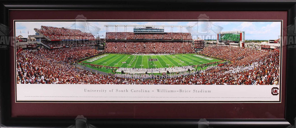 STADIUM PANORAMIC FRAMES