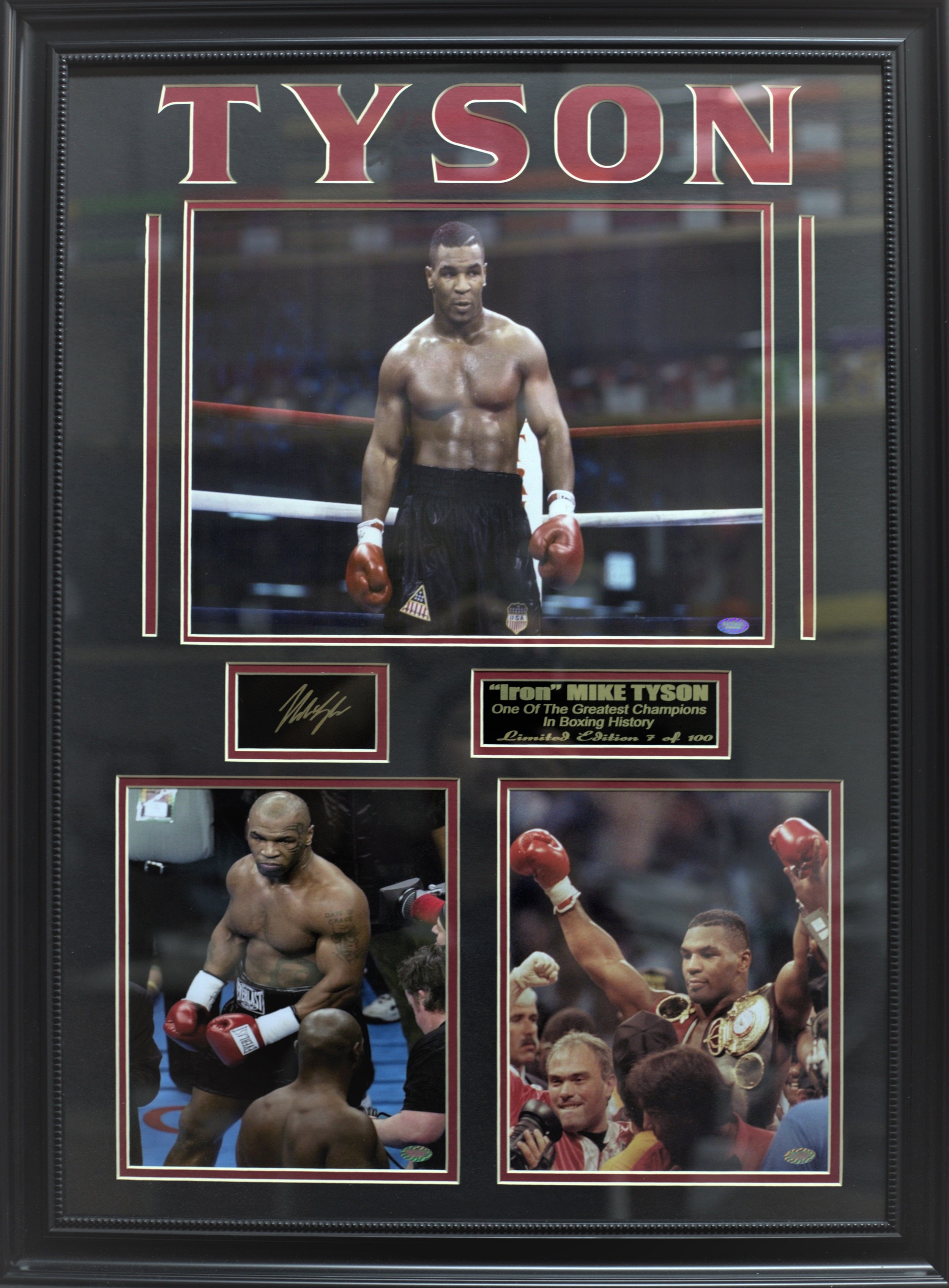 MIKE TYSON FRAME - LARGE-MIKE TYSON : LARGE FRAMES