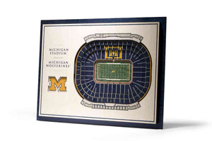 Michigan Wolverines 5-Layer Stadiumviews 3D Wall Art