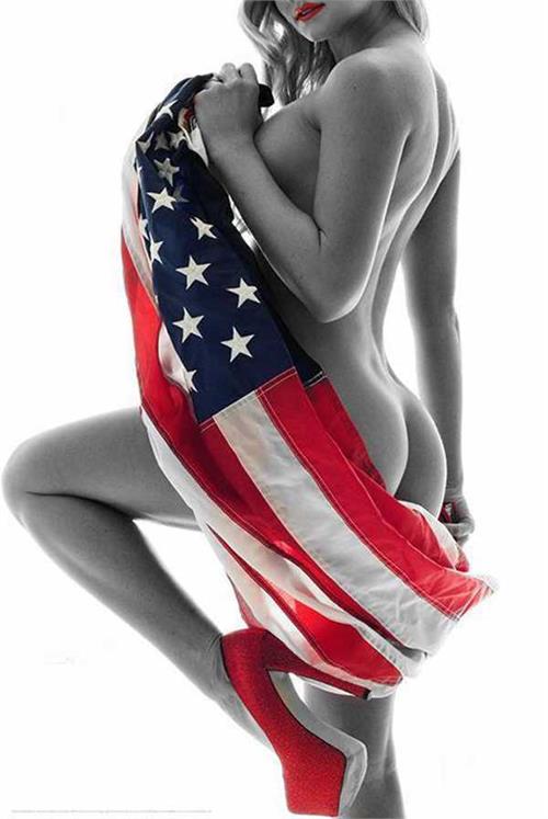 American Wrapped by Daveed Benito Poster