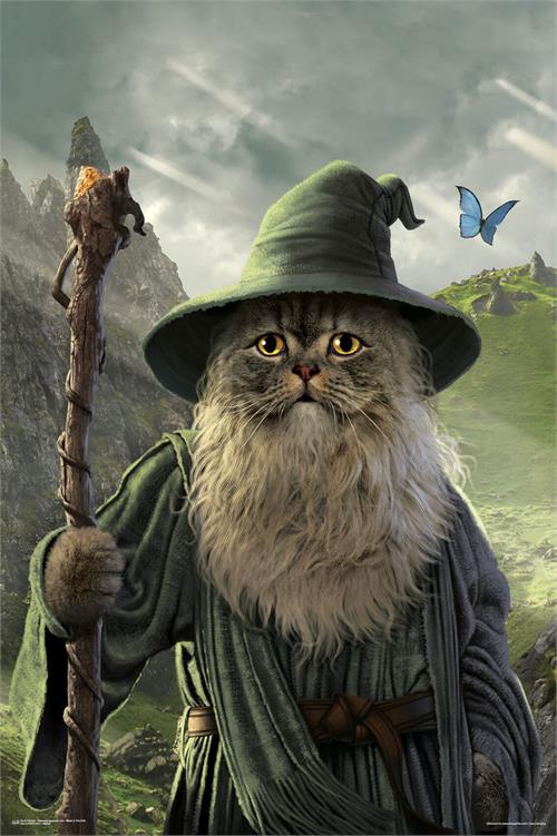 Catdalf Wizard Cat Animal Mashup by Vincent Hie Fantasy Poster