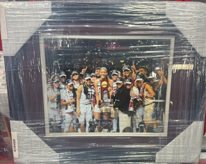 South Carolina Gamecocks Gamecocks Small Frames