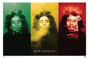 Bob Marley Domestic Poster