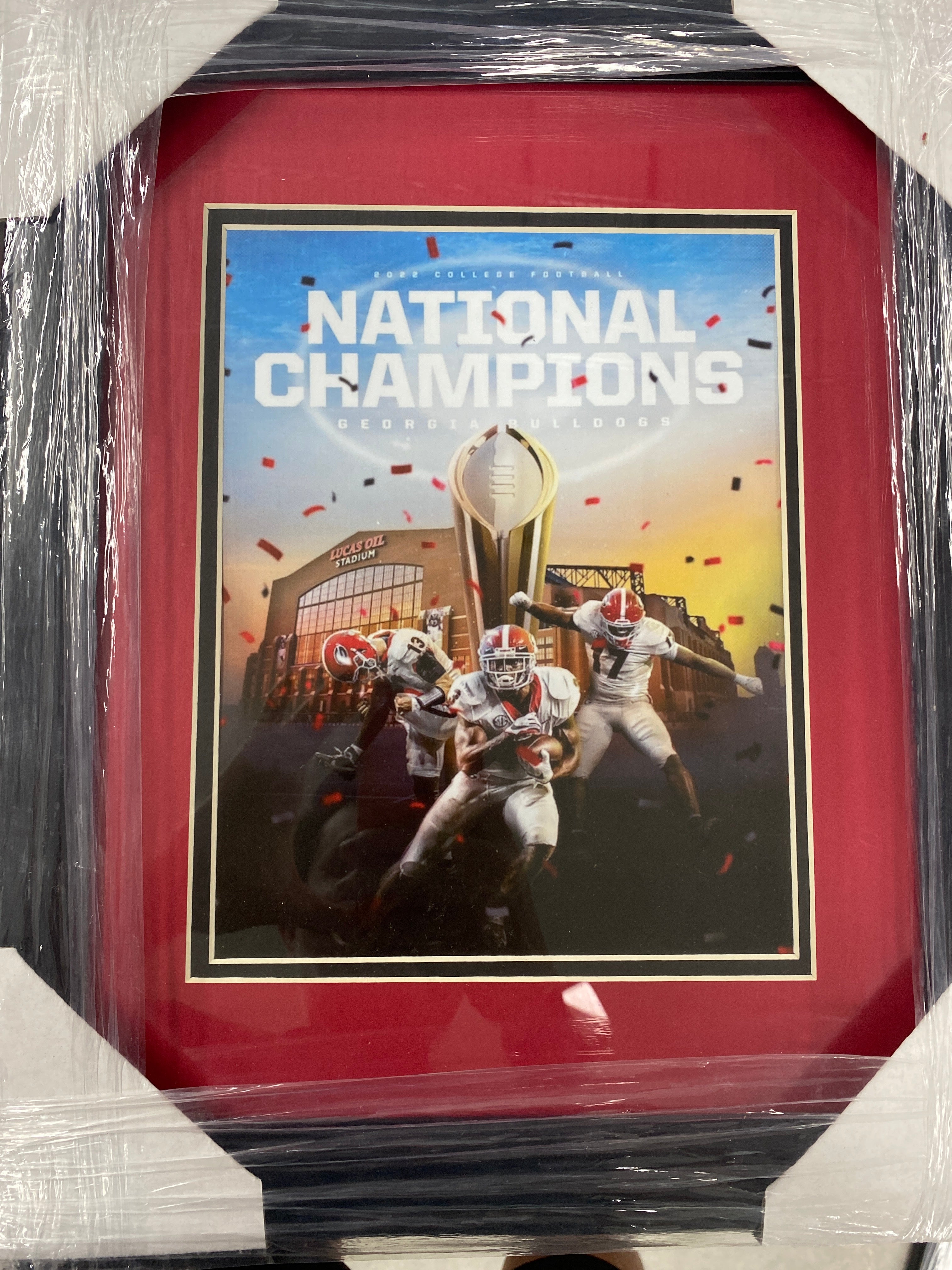 BULLDOGS CHAMPION FRAME : SMALL FRAMES – ManCave Store
