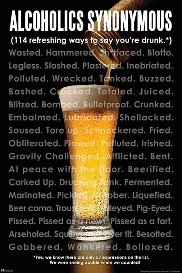 Alcoholics Synonymous Poster