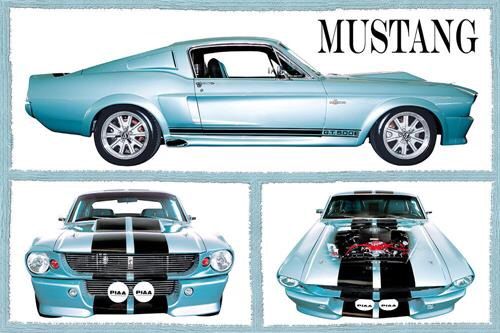 Fabulous Mustangs Poster