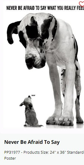 Never Be Afraid to Say What You Really Feel Explicit Maxi Dogs Poster