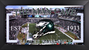 Philadelphia Eagles Helmet Frames