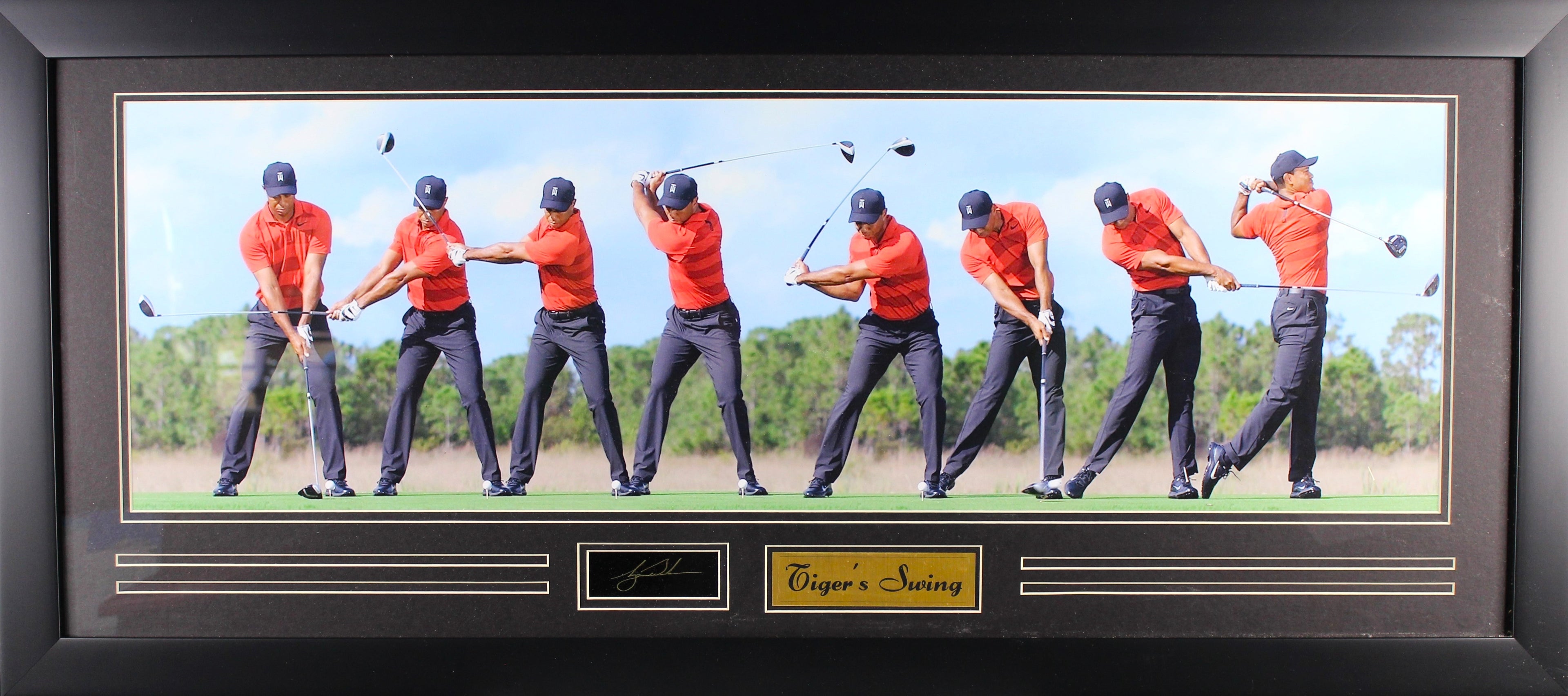 Masters Tiger Woods Swing Large Frames