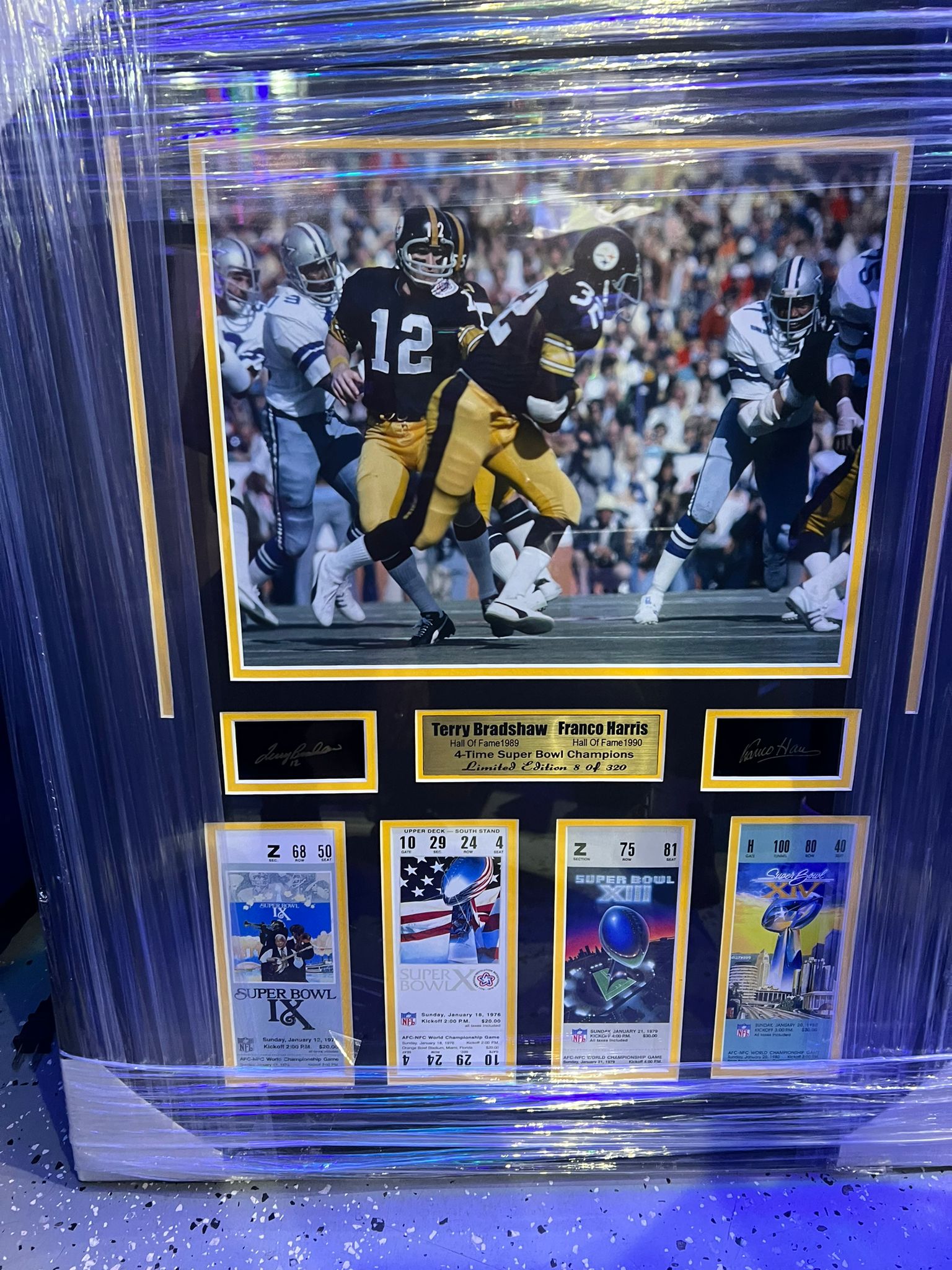 Pittsburgh Steelers Franco Harris and Terry Bradshaw Large Frames