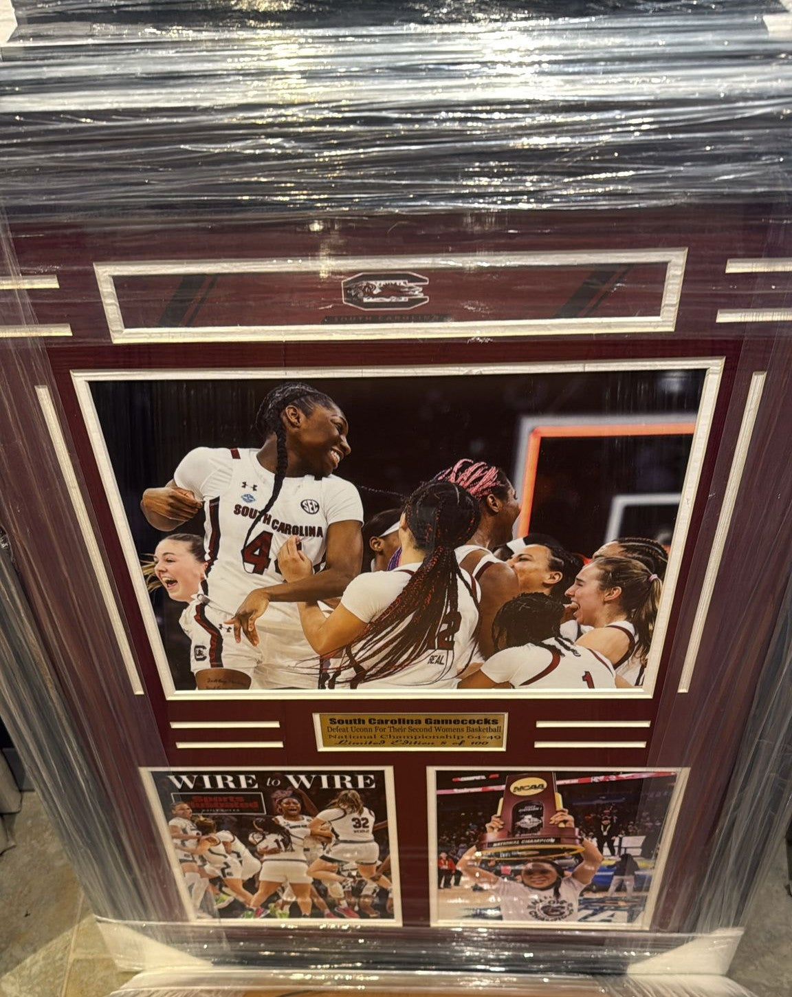 South Carolina Gamecocks Women’s Basketball Large Frames