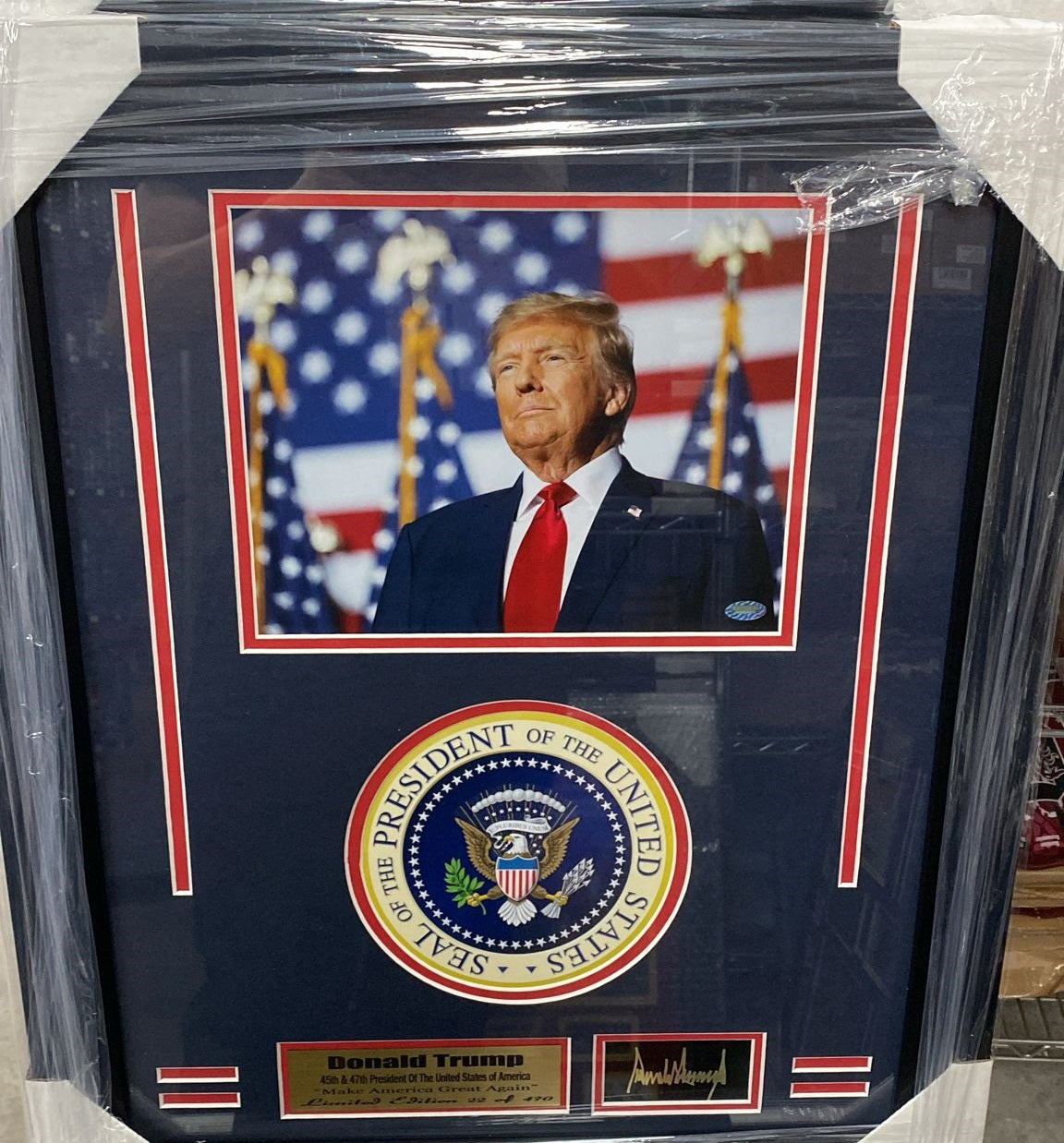 PRESIDENT TRUMP WINS 2024 FRAMES