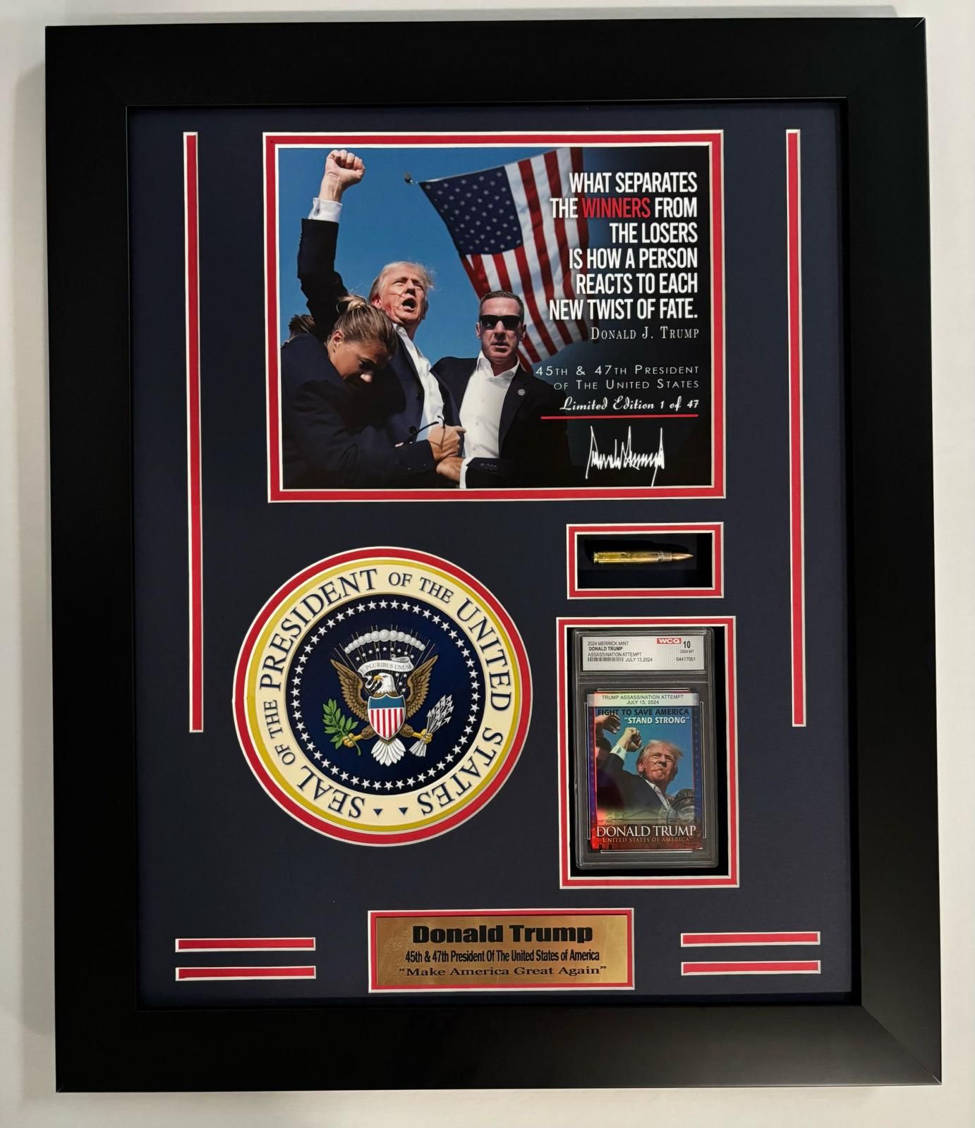 PRESIDENT TRUMP ASSASSINATION ATTEMPT FRAMES