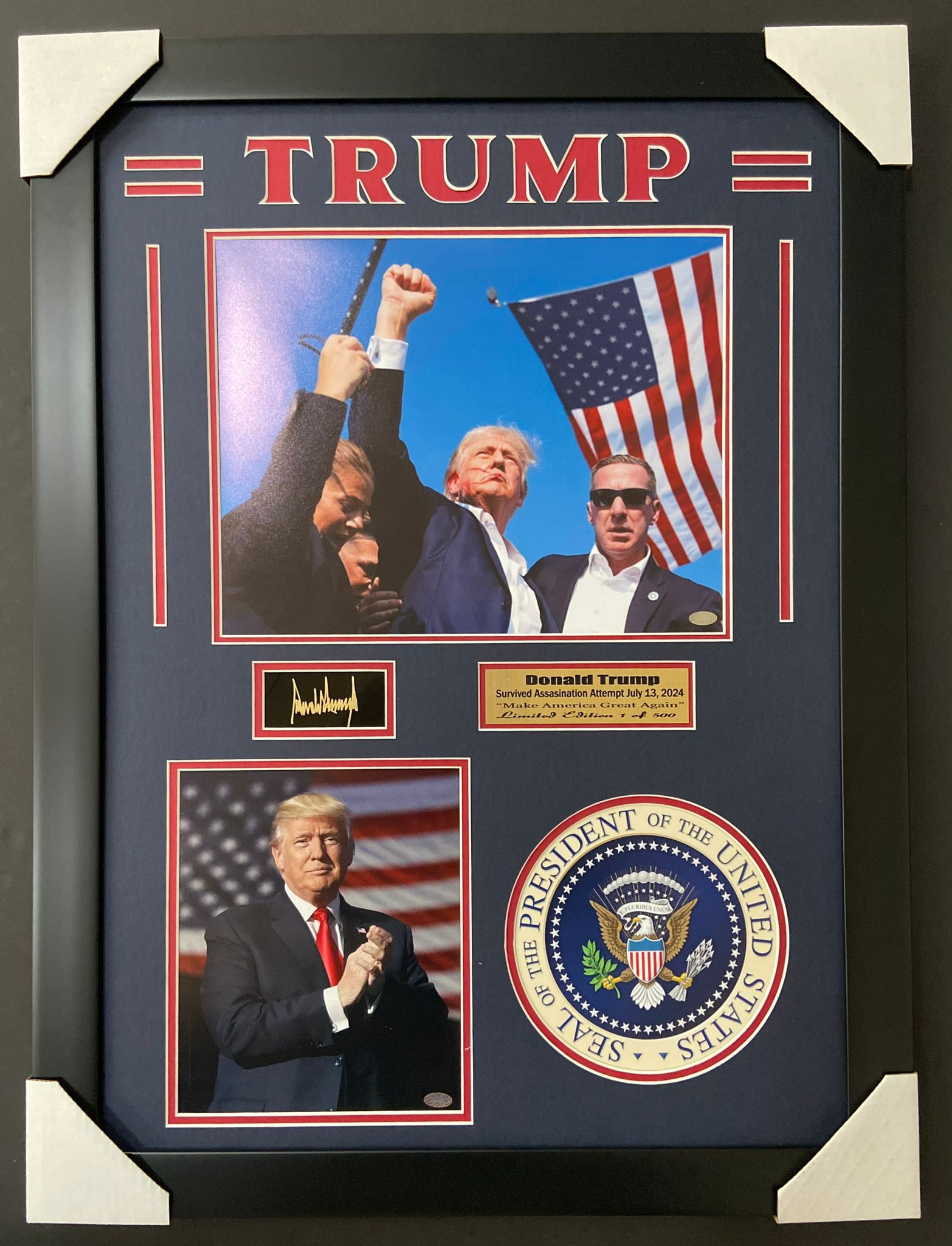 PRESIDENT TRUMP ASSASSINATION ATTEMPT FRAMES