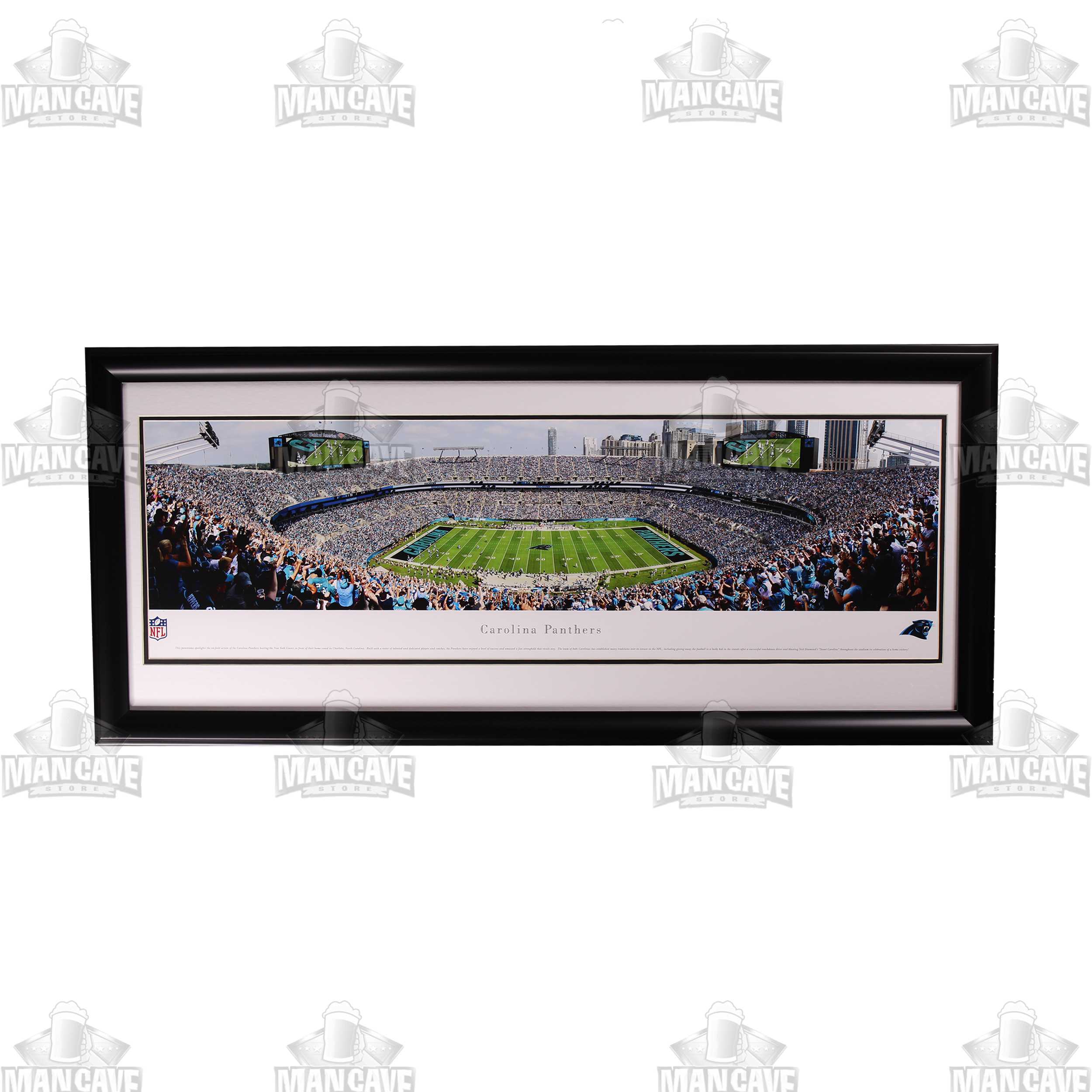 Carolina Panthers Panoramic Stadium Large Frame