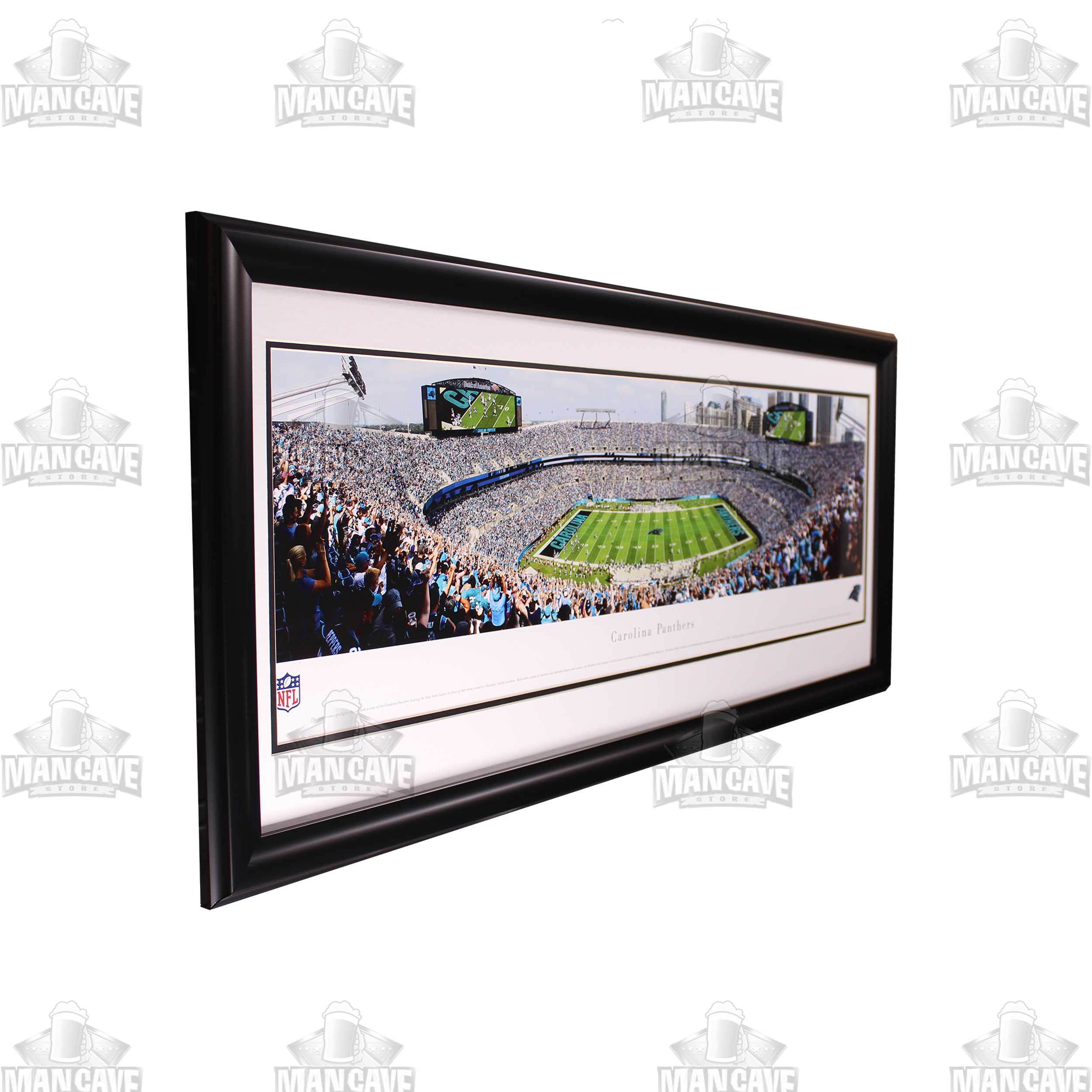 Carolina Panthers Panoramic Stadium Large Frame