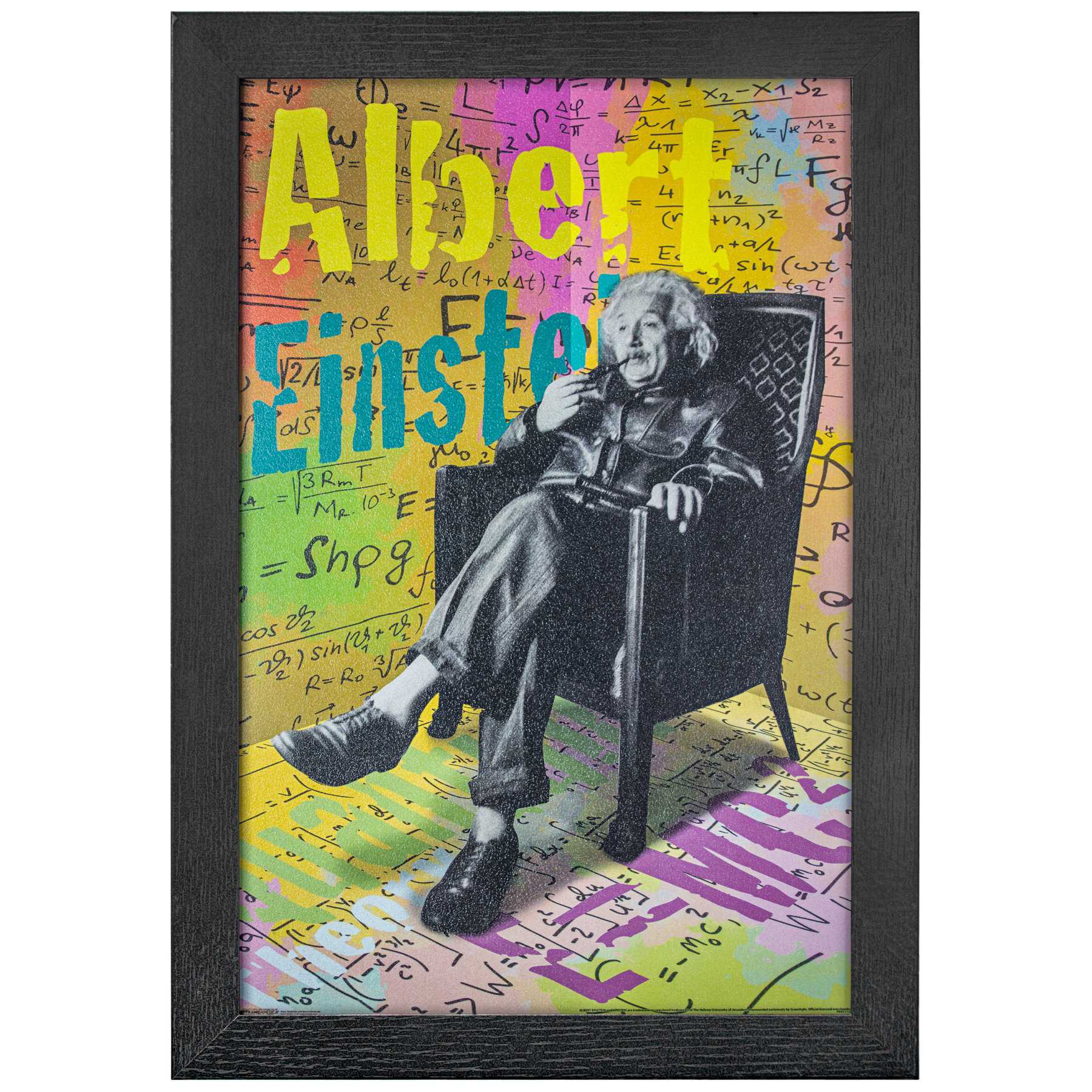 Licensed Framed Art - Albert Einstein