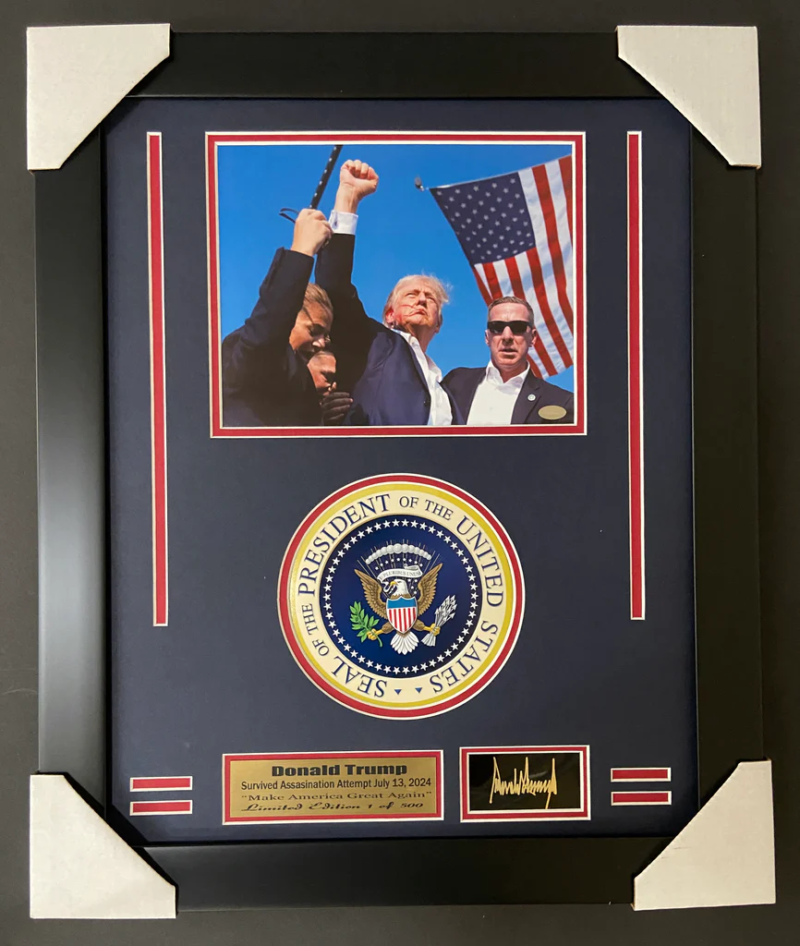 Trump16x20frame 1024x1024 1